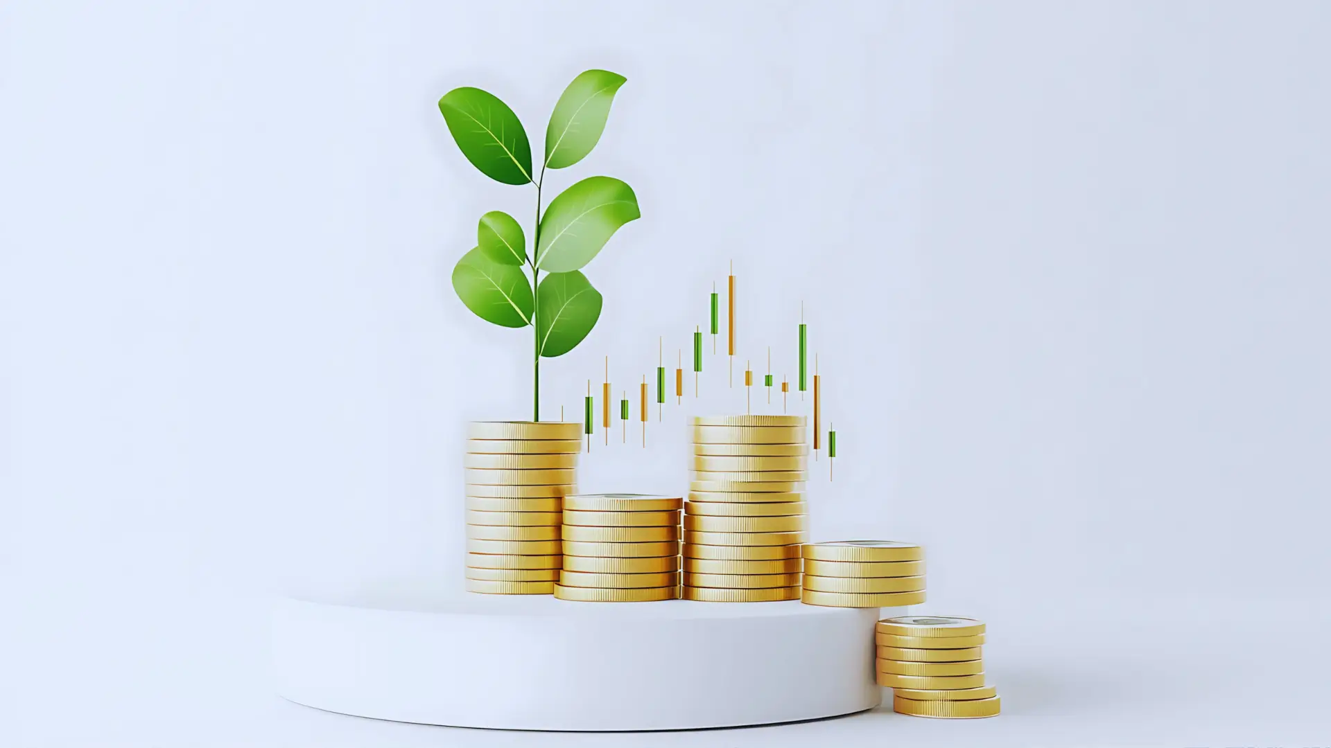 Wrap ROI for Small Businesses in Toronto