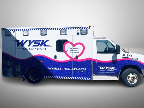 Custom WYSK Animal Transport ambulance wrap by Toronto Car Wrap – professional pet shuttle vehicle graphics in Ontario