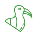 The Sandwich-Stealing Seagull
