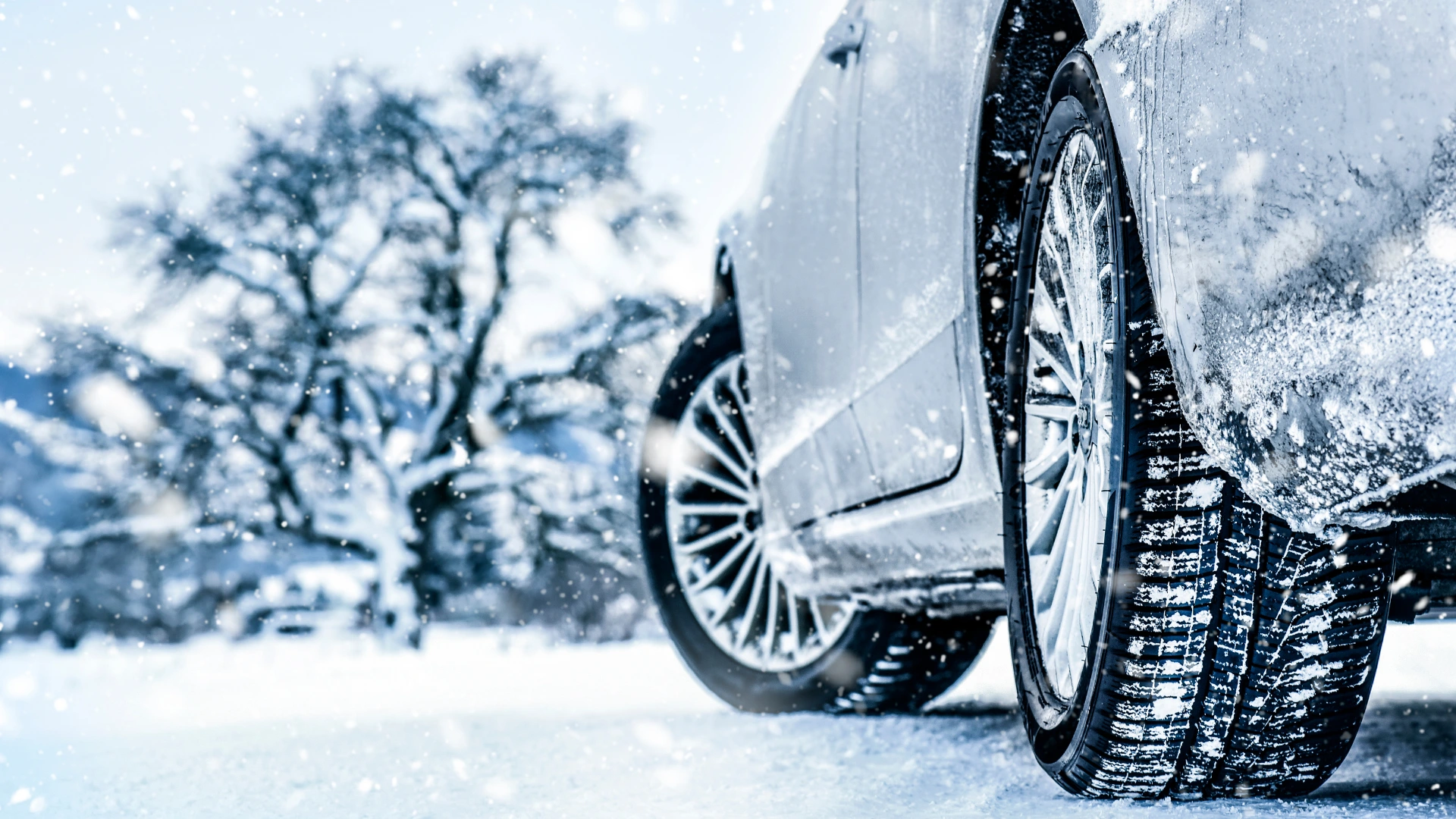 How to Winterize a Car Wrap in Toronto: Salt, Snow and Ice